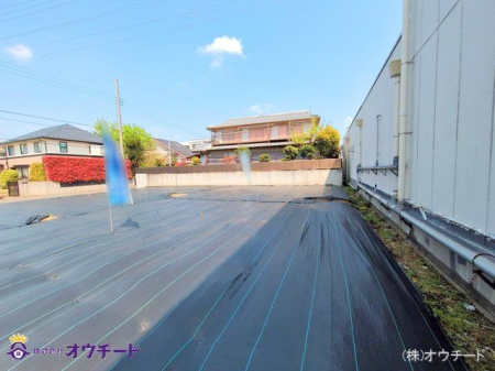 nynʐ^ Be(2025-04-12 00:00:00)