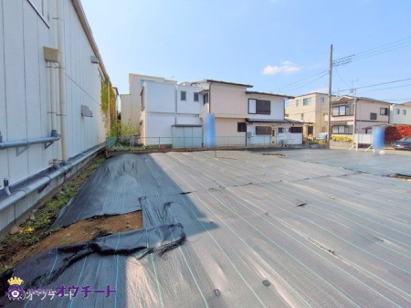 nynʐ^ Be(2025-04-12 00:00:00)