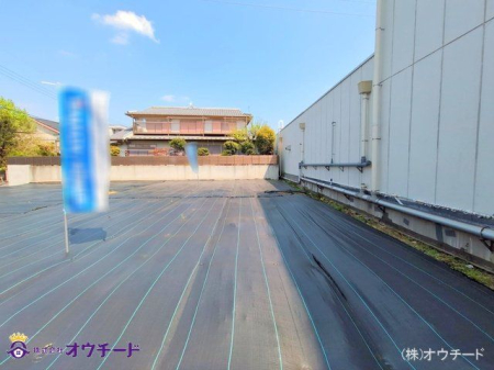 nynʐ^ Be(2025-04-12 00:00:00)