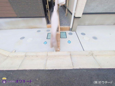 nOώʐ^ Be(2025-04-20 00:00:00)