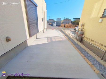 nOώʐ^ Be(2025-01-31 00:00:00)