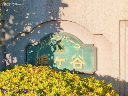 nOώʐ^ Be(2024-11-11)