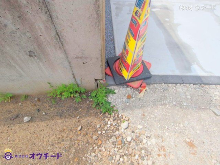 nOώʐ^ Be(2025-04-18 00:00:00)