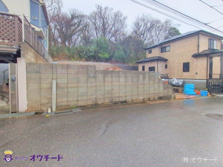 nynʐ^ Be(2025-03-19)