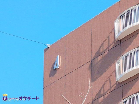 nOώʐ^ Be(2025-01-21 00:00:00)