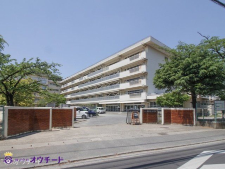ӊ ˎsaPJwZ Be(2023-05-04) 790m