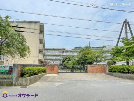 ӊ ˎsZwZ Be(2024-07-08) 2290m