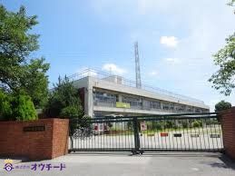 ӊ swZ k9B 700m