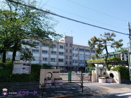ӊ 旧wZ k12B 950m